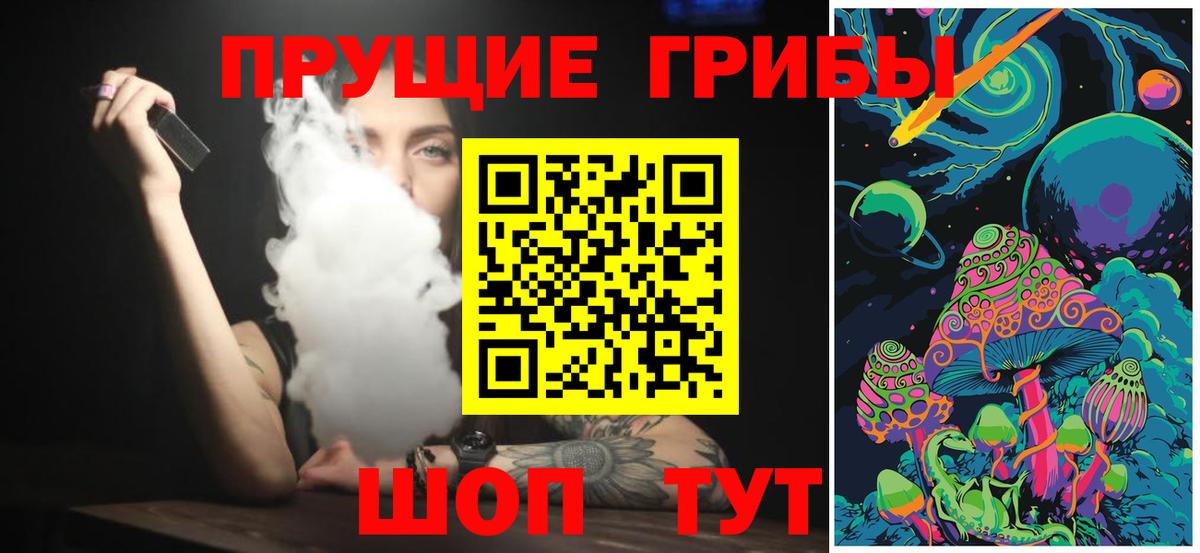 Галлюциногенные грибы Psilocybine cubensis  Вход с VPN  Псилоцибиновые грибы прущие грибы  Туапсе 